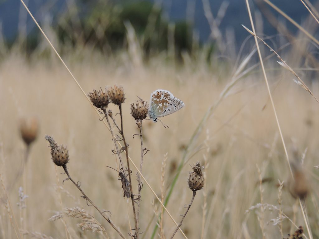 Výherce fotosoutěže - 1. místo - Valentýna Heraltová