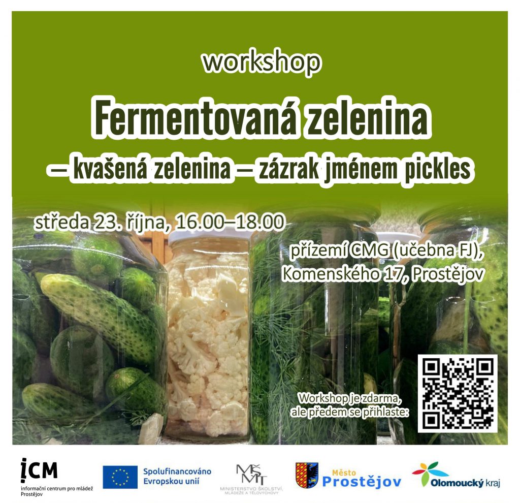 Plakát workshop kvašená zelenina