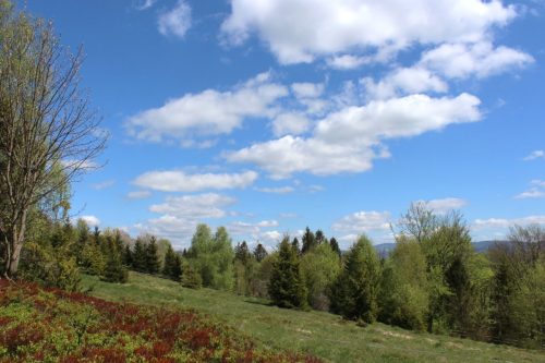 Jaro-v-Beskydech